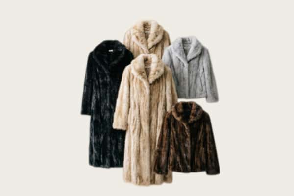 泰州市姜堰回收紫貂皮大衣